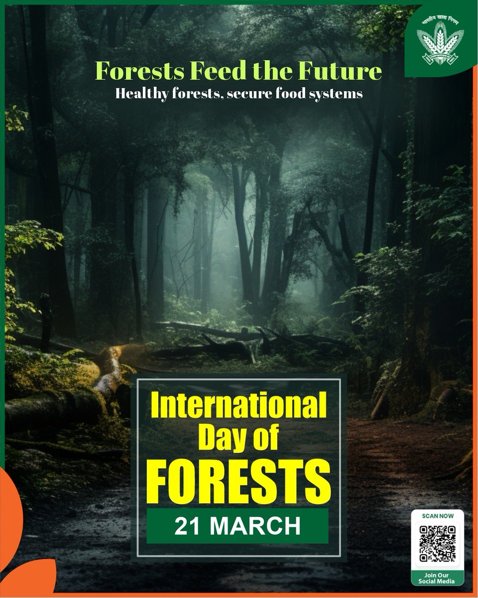 On International Day of Forests, we celebrate the theme “Forests and Economies”, recognizing the vital role forests play in driving sustainable livelihoods and economic resilience.
By enriching soil, conserving water, and sustaining ecosystems, forests form the backbone of