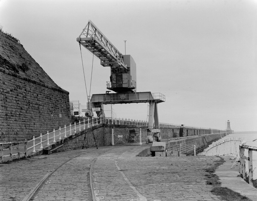 Robert Doyle tweet media