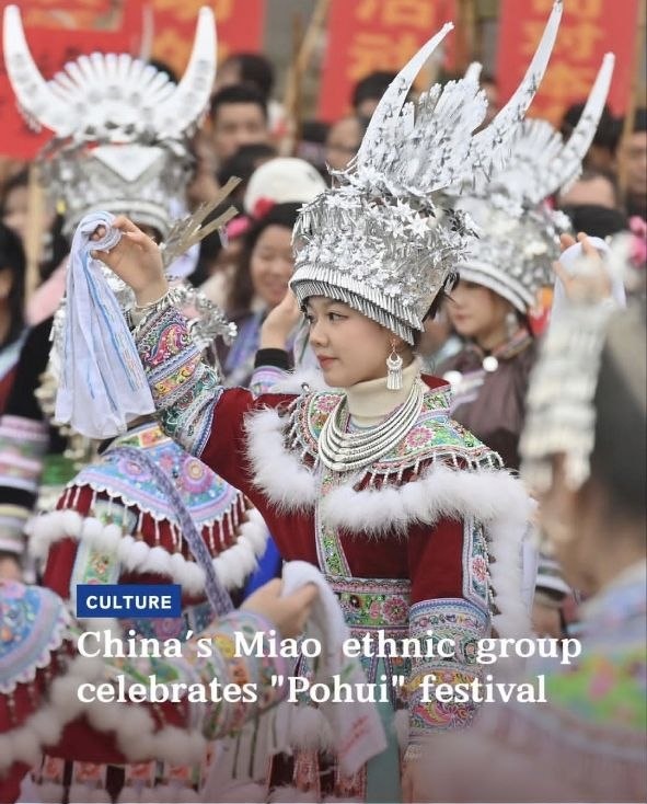 вернись в сорренто tweet media