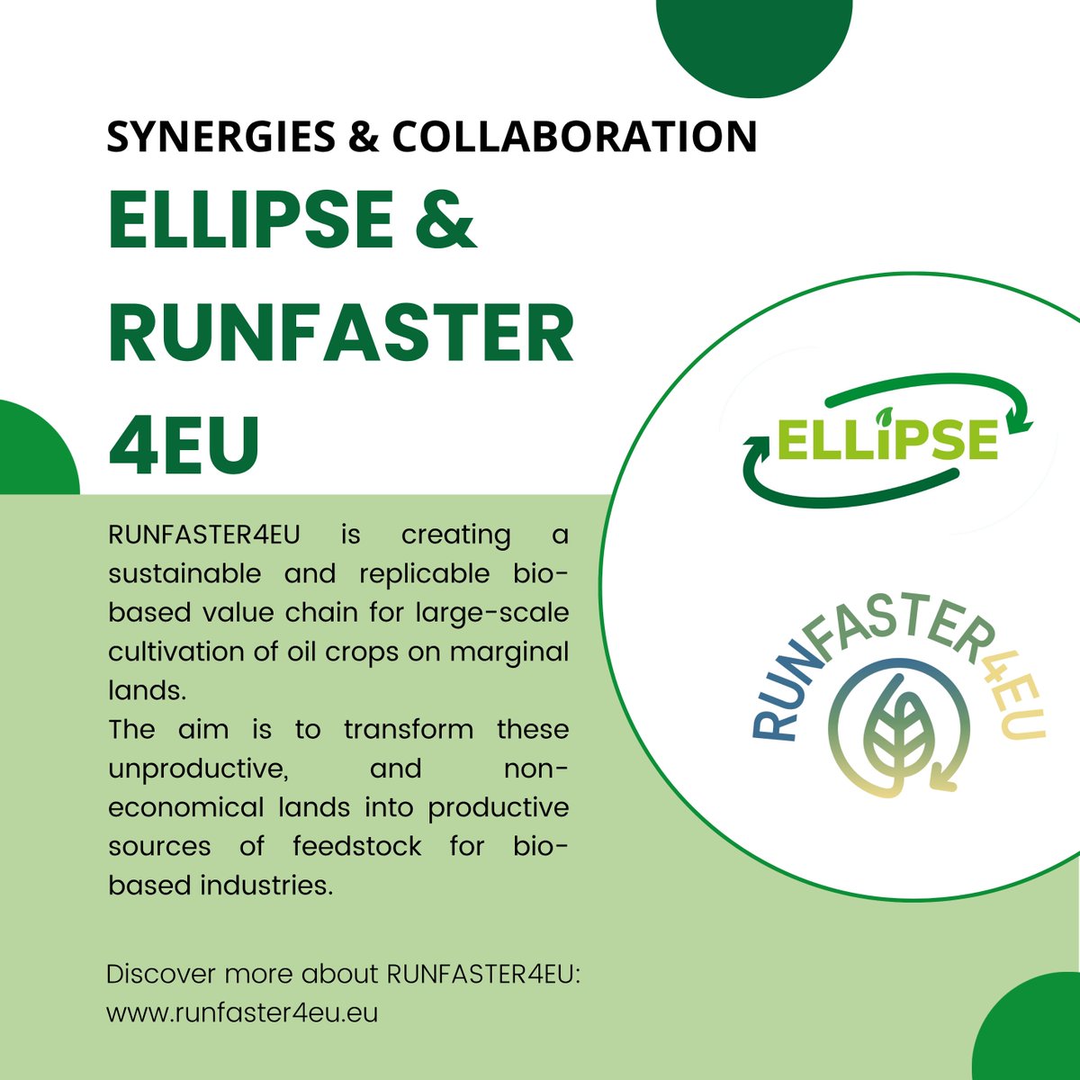 ELLIPSE Project tweet media