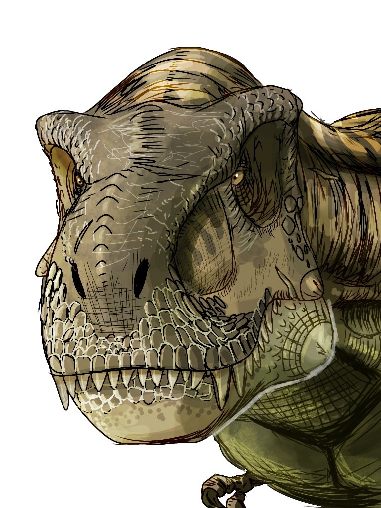 ディゼッタ tweet media