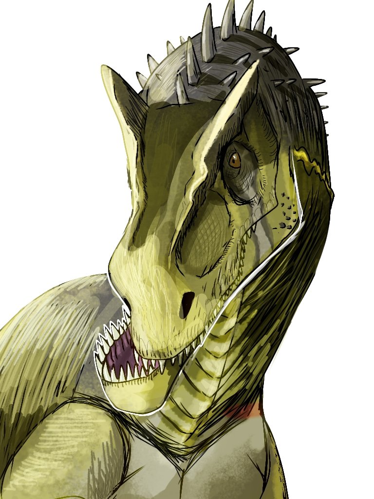 ディゼッタ tweet media