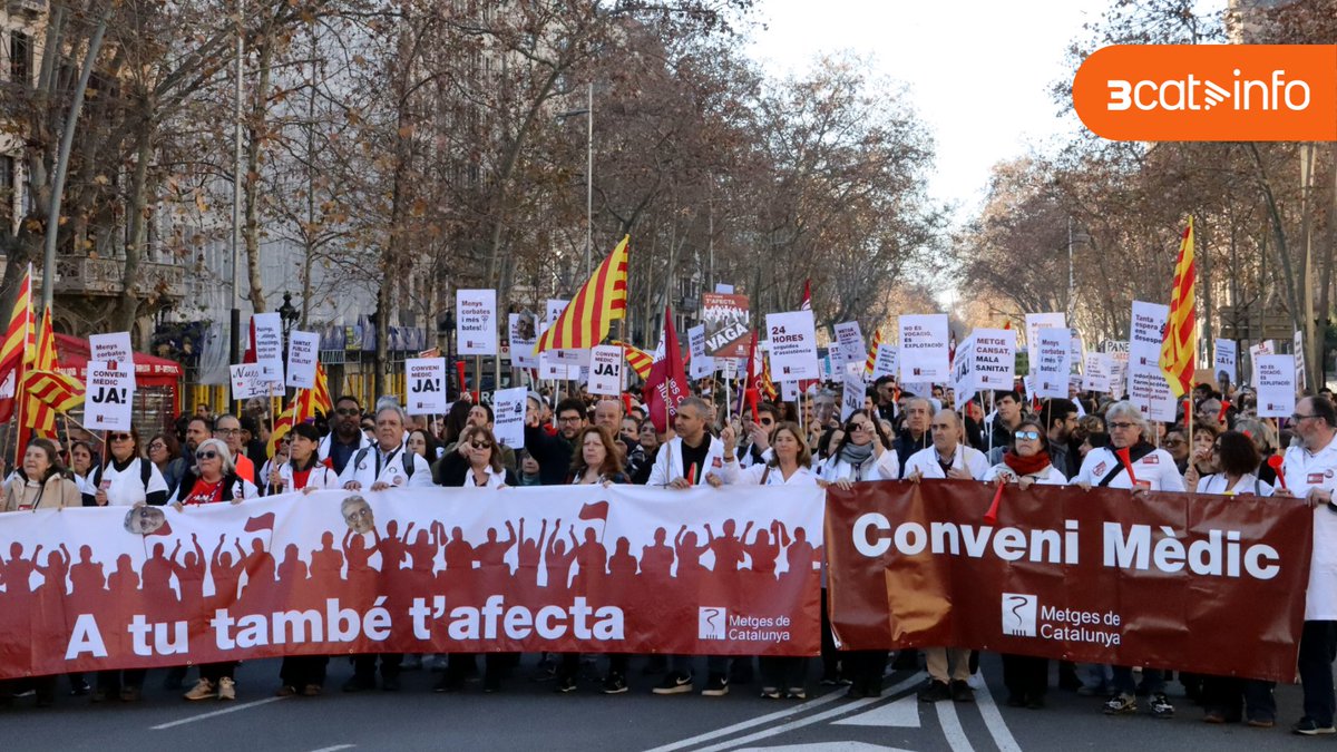 3CatInfo tweet media