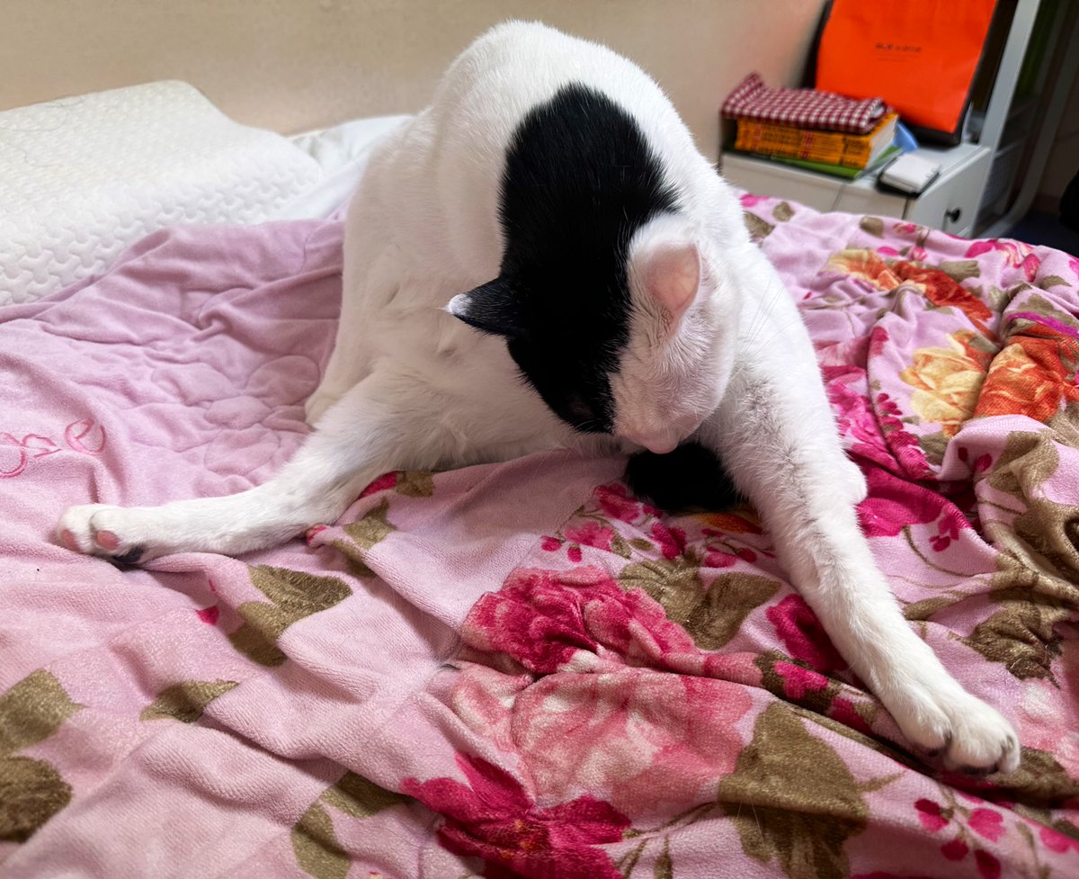 교수님 따까리 tweet media