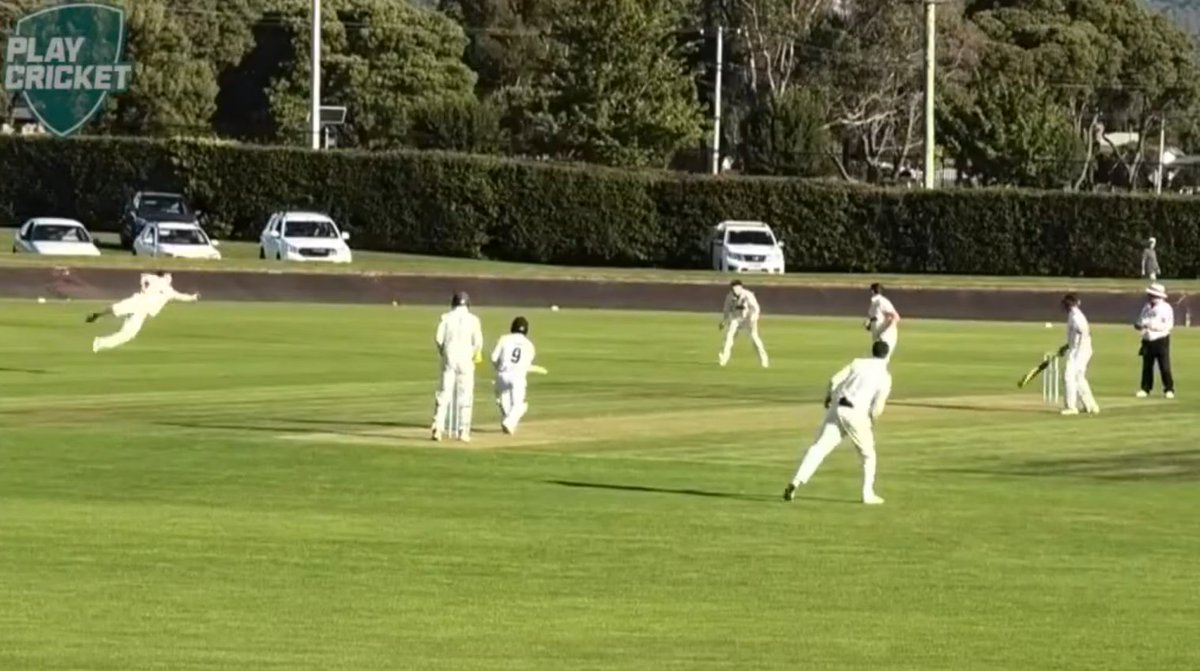 Brad Cole tweet media