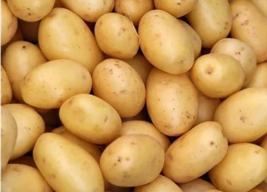 Taylor Benson tweet media