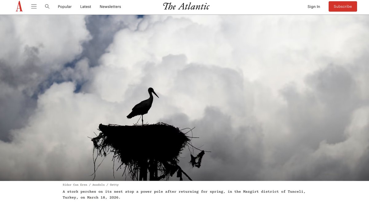 Sidar Eren tweet media