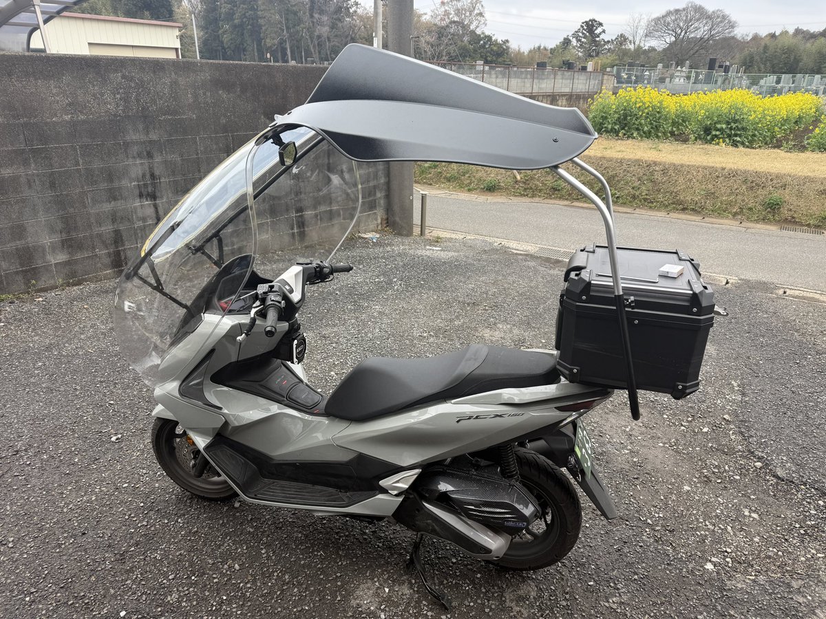 ダバオ tweet media