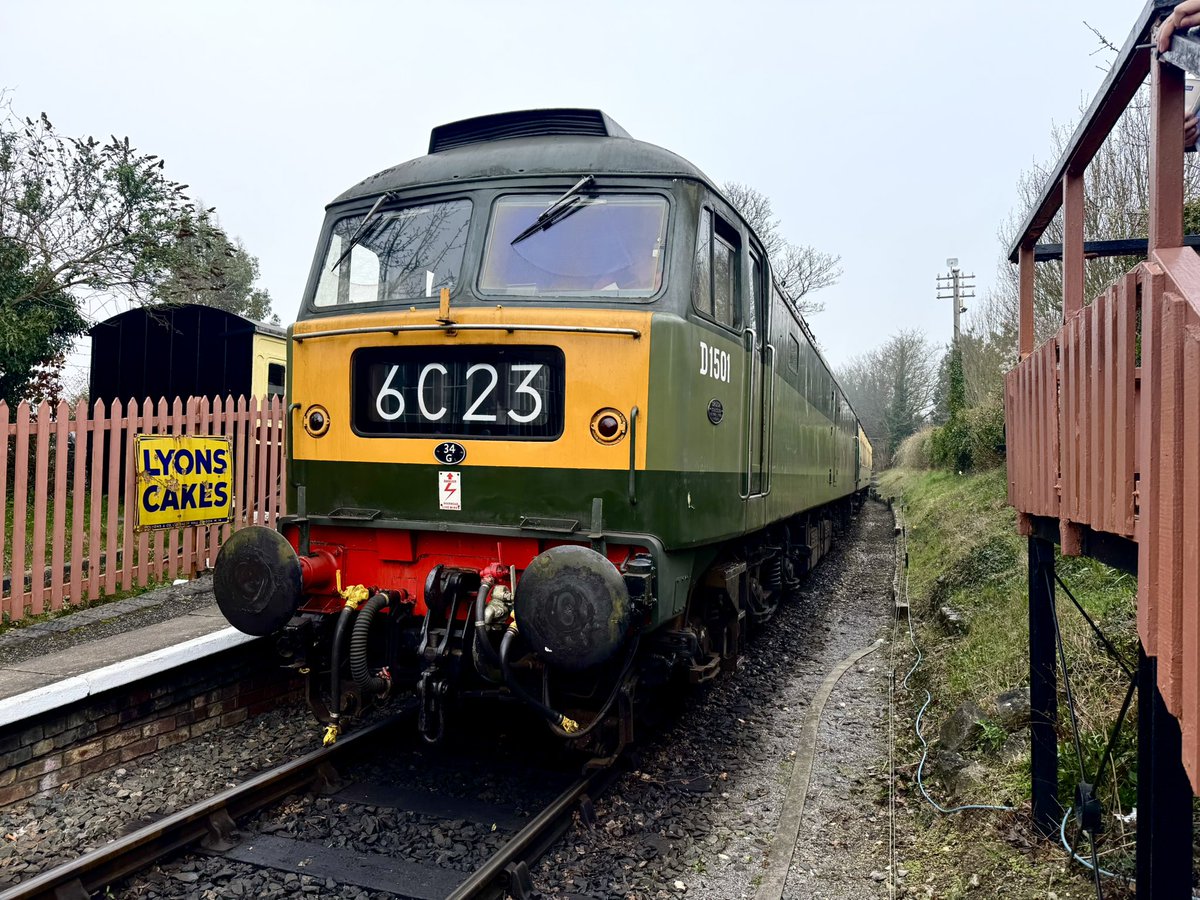 kingy69beard tweet media