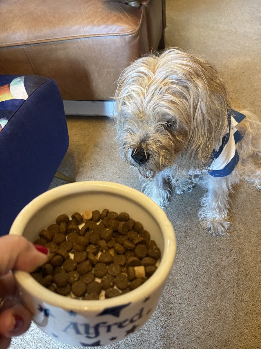 Lord Alfred’s Diary tweet media