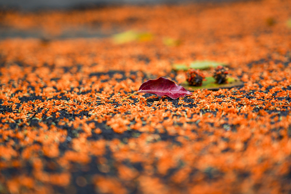 kkkmoomkkk tweet media