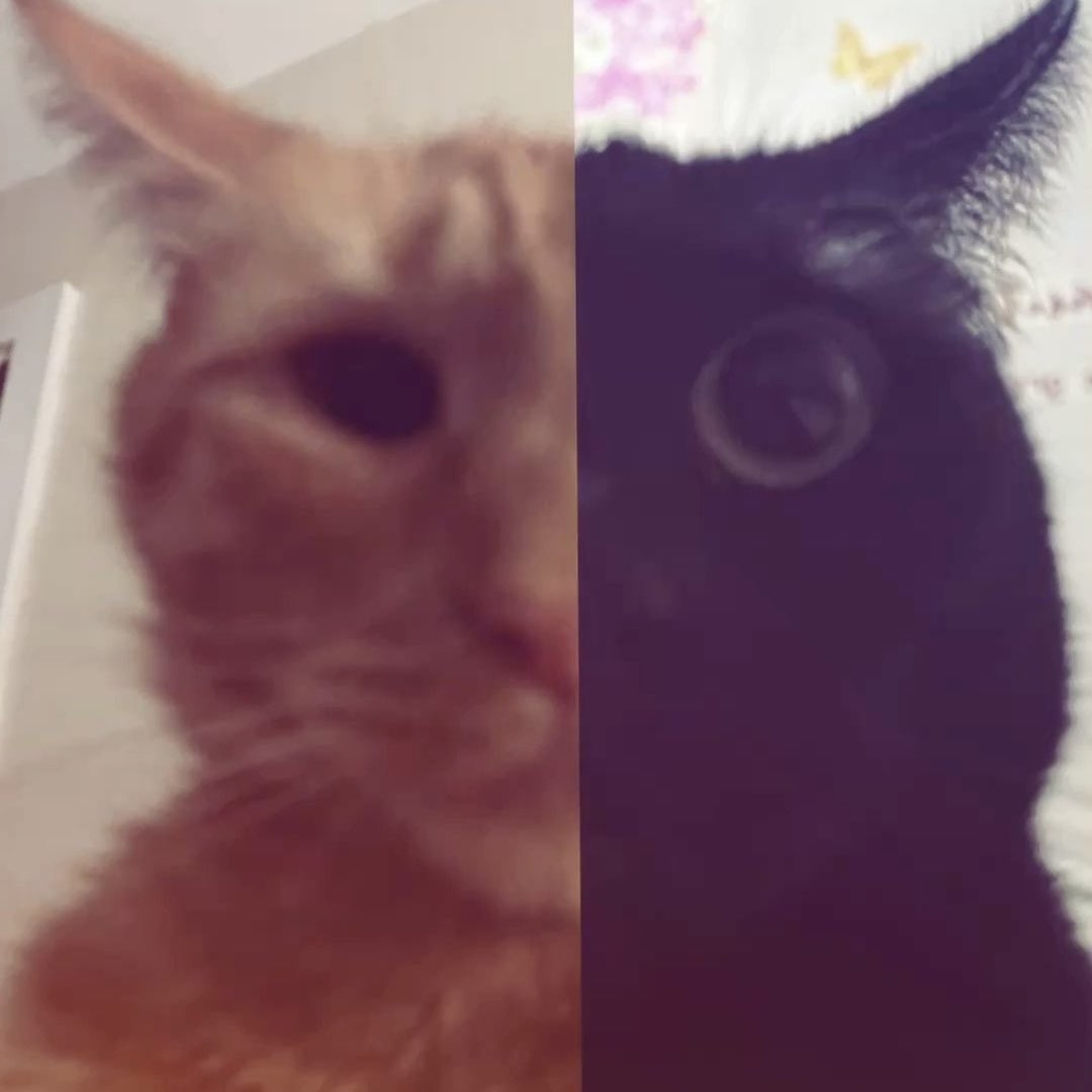 chub (รับทัมลายน้ำ) tweet media