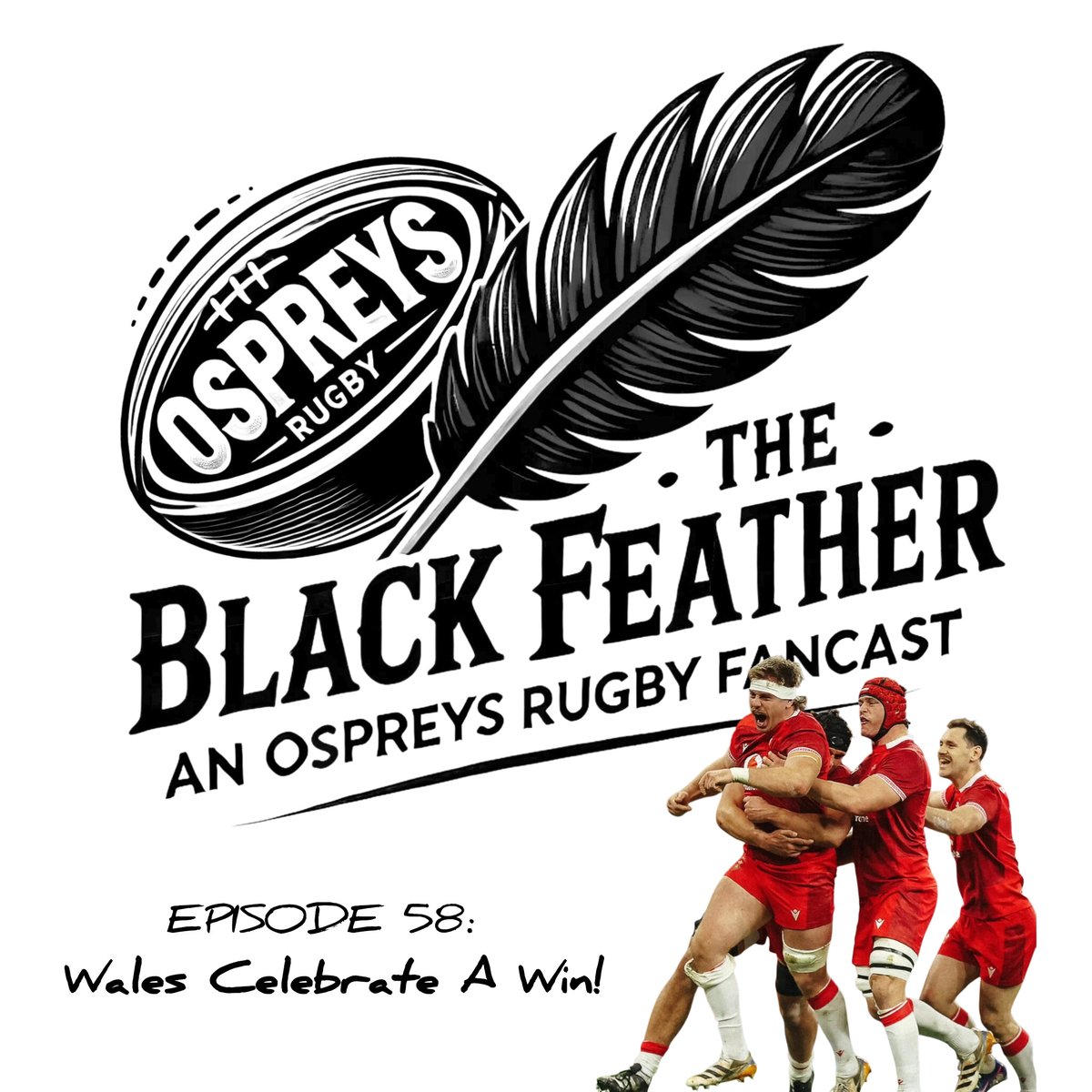 The Black Feather: An Ospreys Rugby Fancast tweet media
