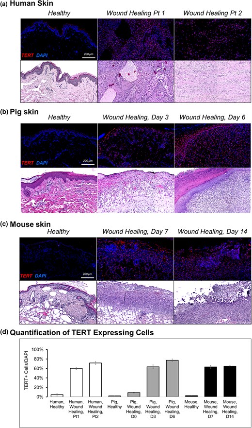 Skin Health and Disease tweet media