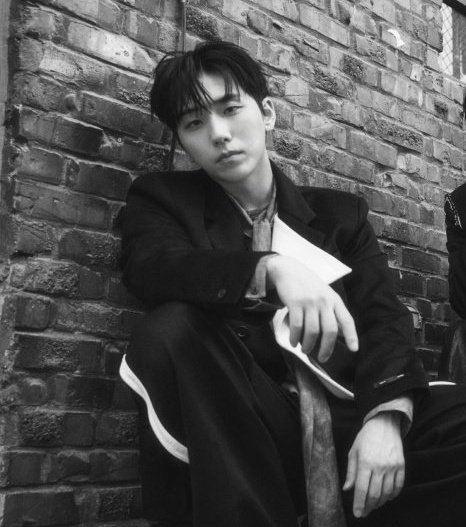 햄시무스 tweet media