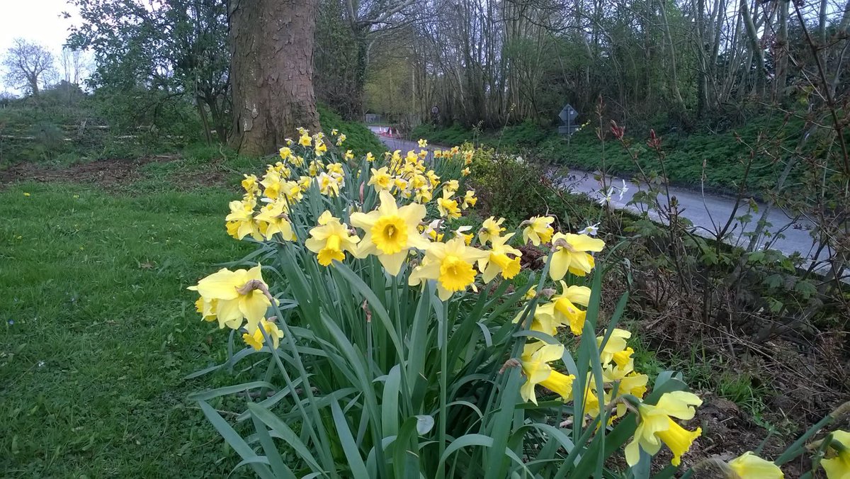 Peter Ovington tweet media