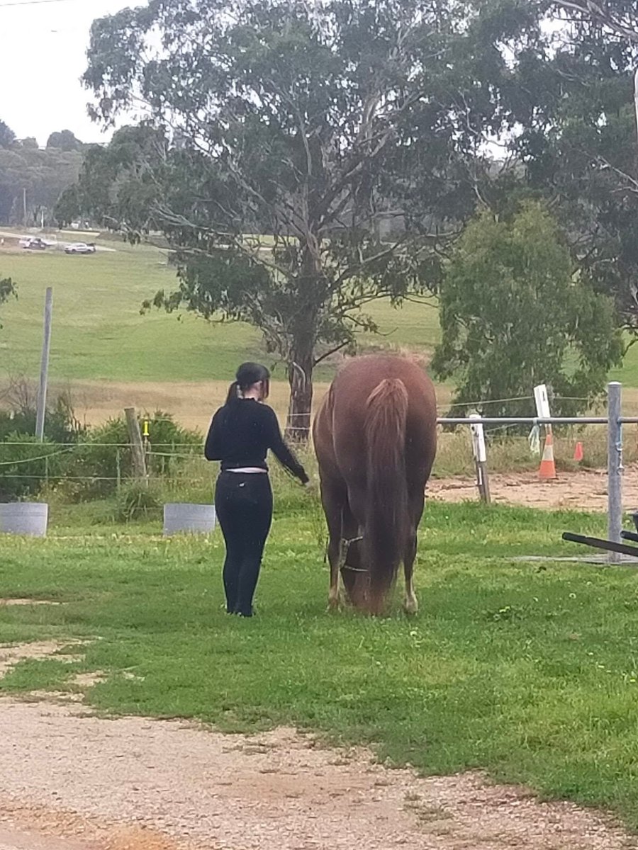 VAMPJUNK tweet media