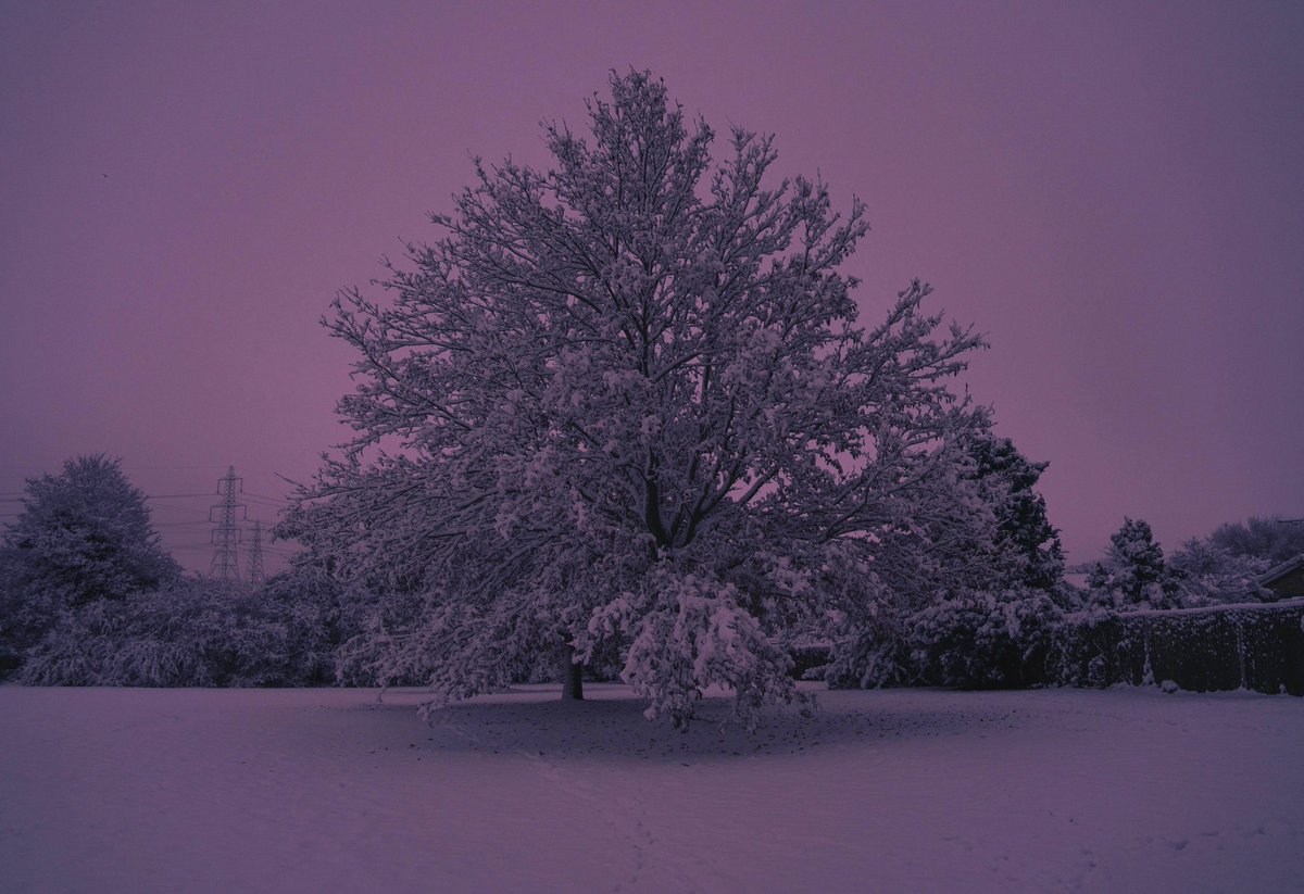 Serene 🌼 tweet media