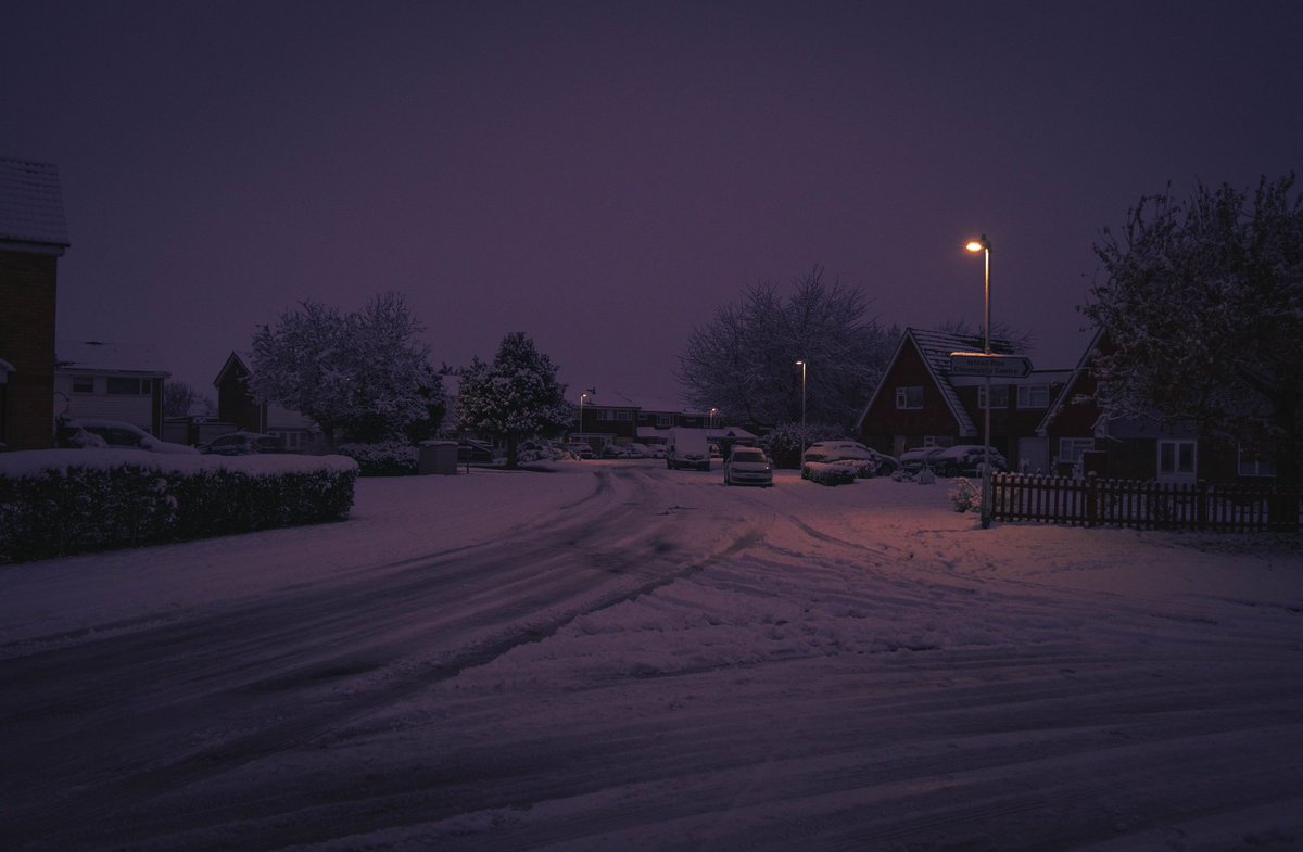 Serene 🌼 tweet media