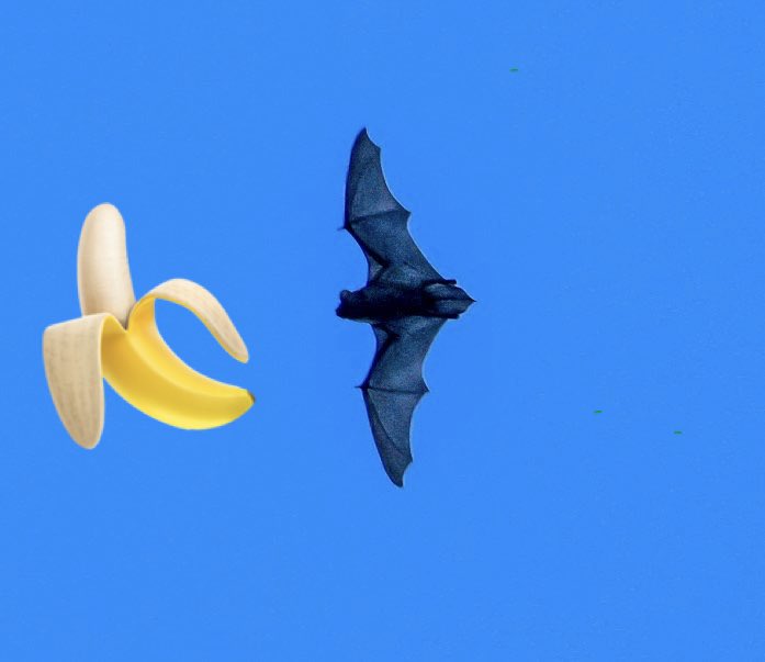 Squirrely 🐿 tweet media