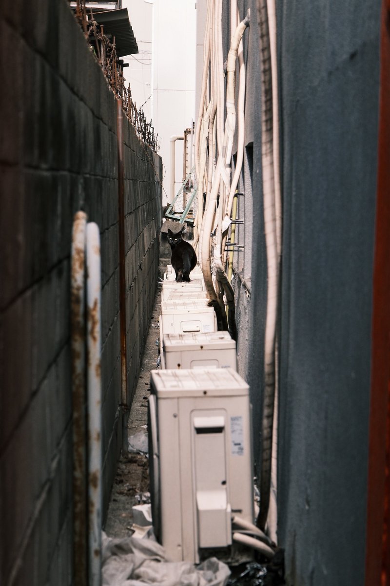 小林哲朗 写真家 tweet media