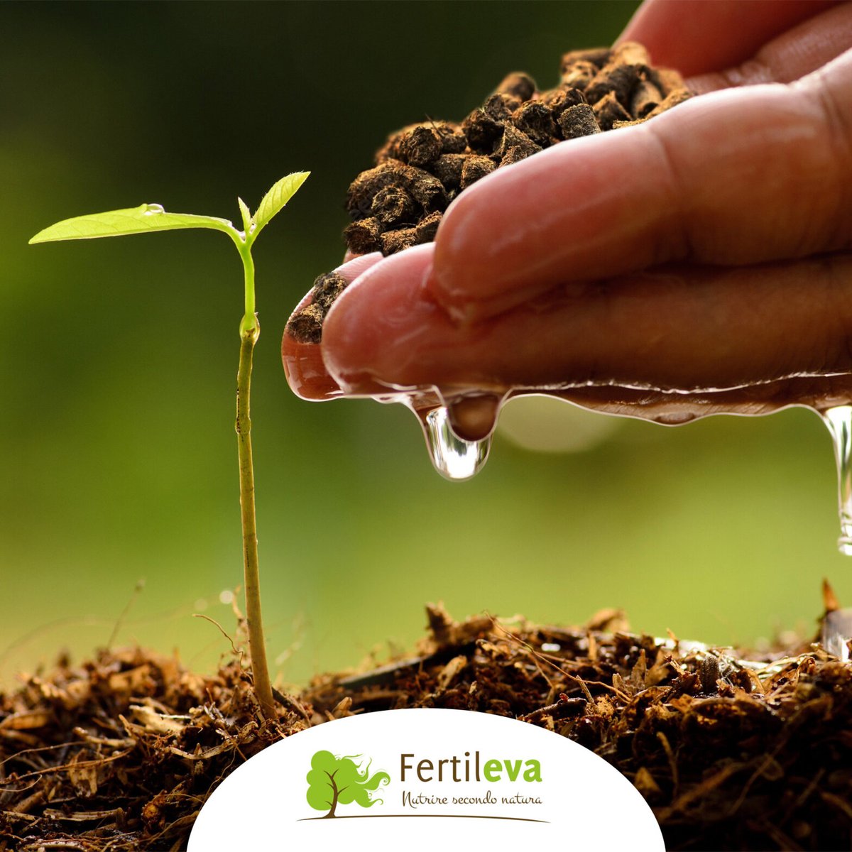 Giornata Mondiale dell’Acqua 💦
Il tema di quest'anno, “Water and Gender”, ci ricorda che l’accesso all’acqua è anche una questione di equità.
Ricordiamo che un suolo sano e ben nutrito è il miglior alleato per trattenere la risorsa idrica. 
#WorldWaterDay