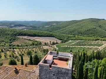 ג׳אקו אסולין tweet media