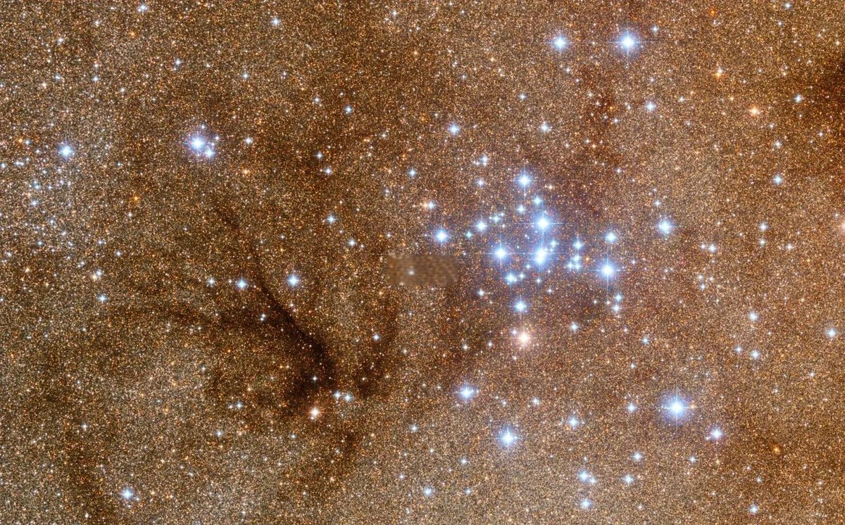 Saalfeld tweet media