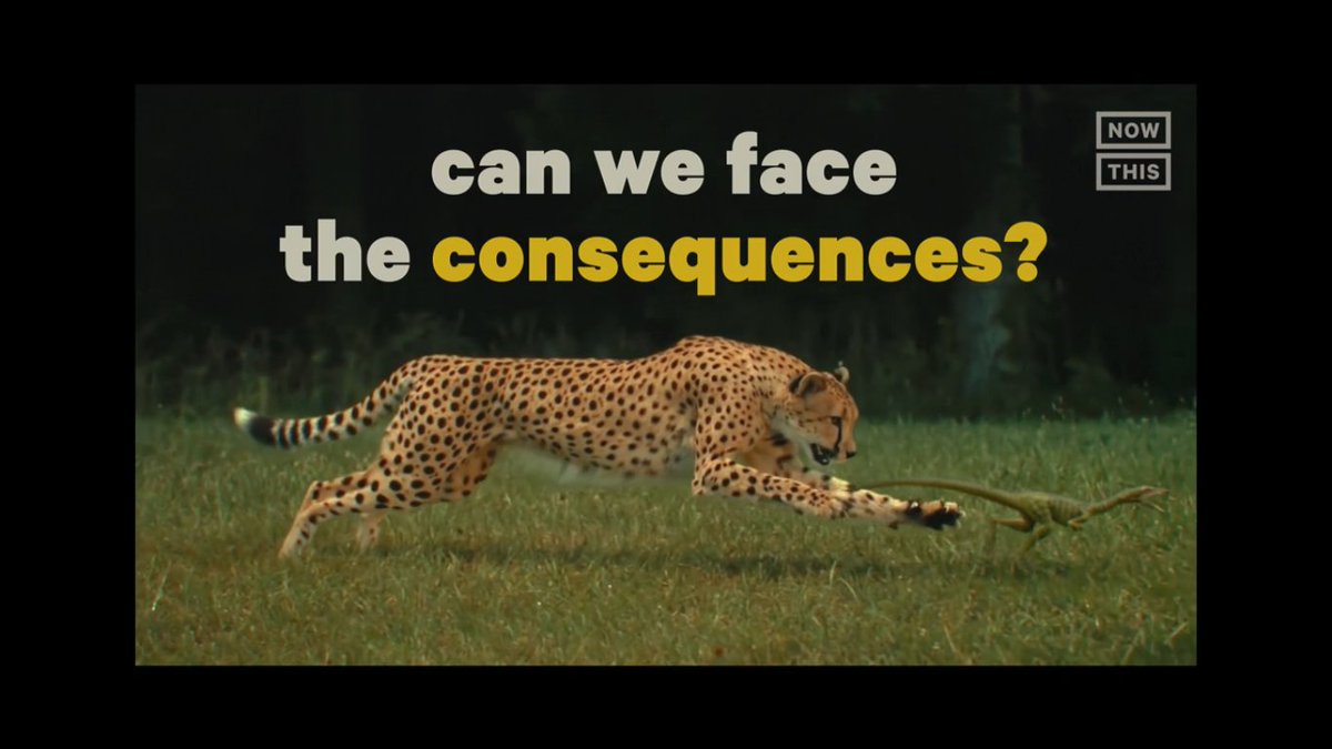 Aditya Madanapalle tweet media