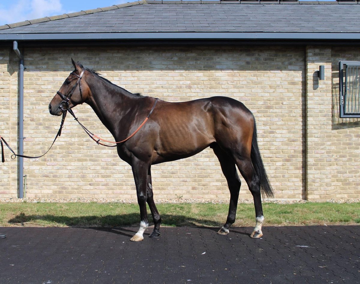 William Knight Racing tweet media