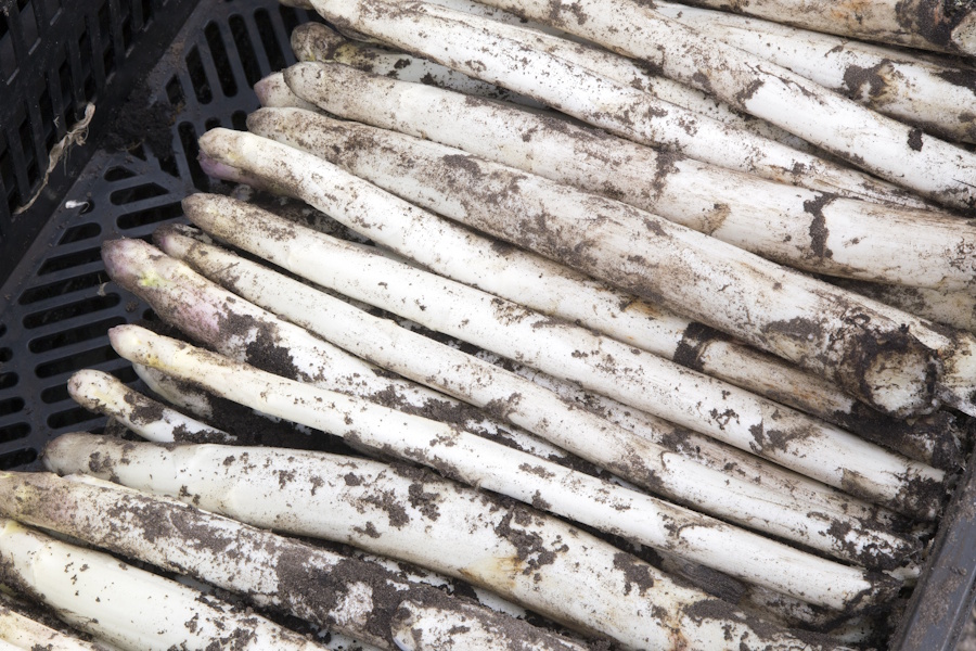 PR Gateway tweet media