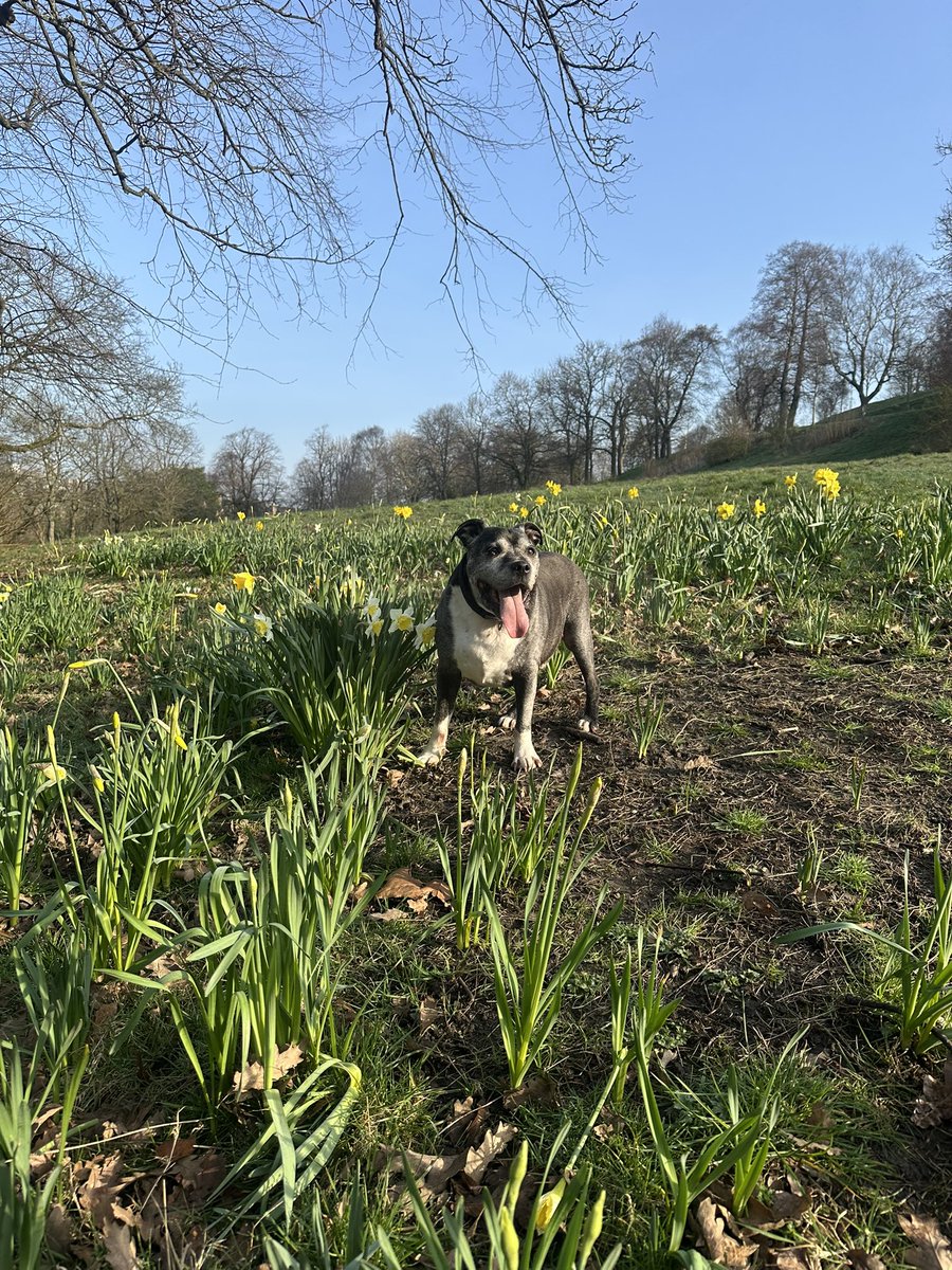 Margaret Miller tweet media