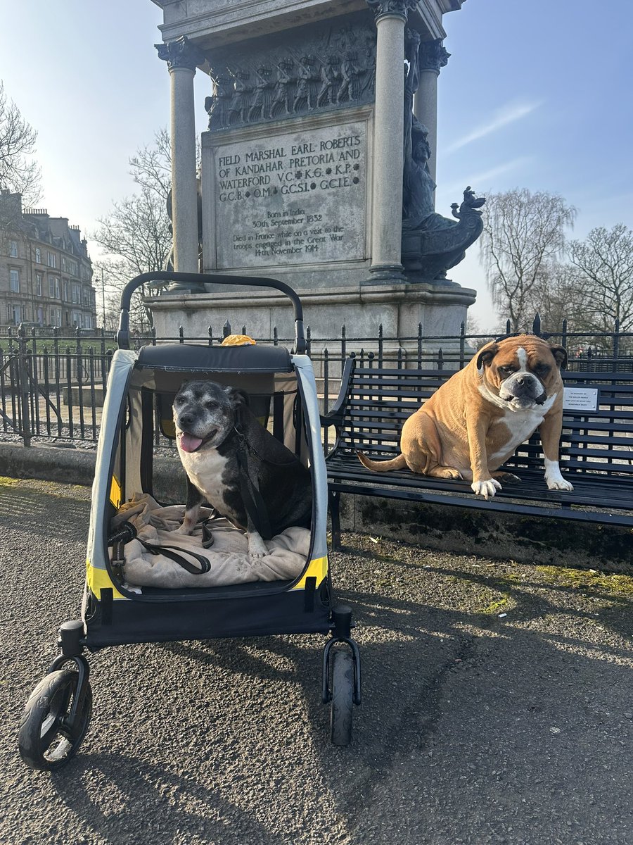 Margaret Miller tweet media