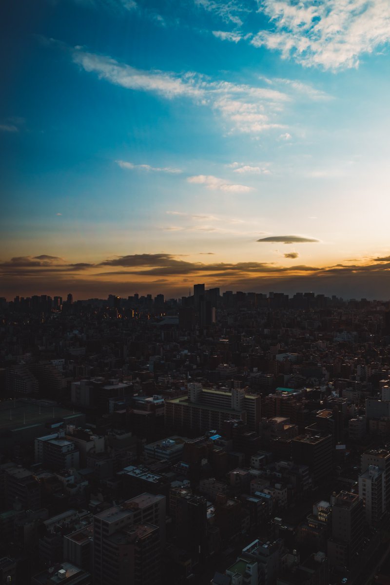 🕊 𓂃𓈒 𓂂𓏸 tweet media