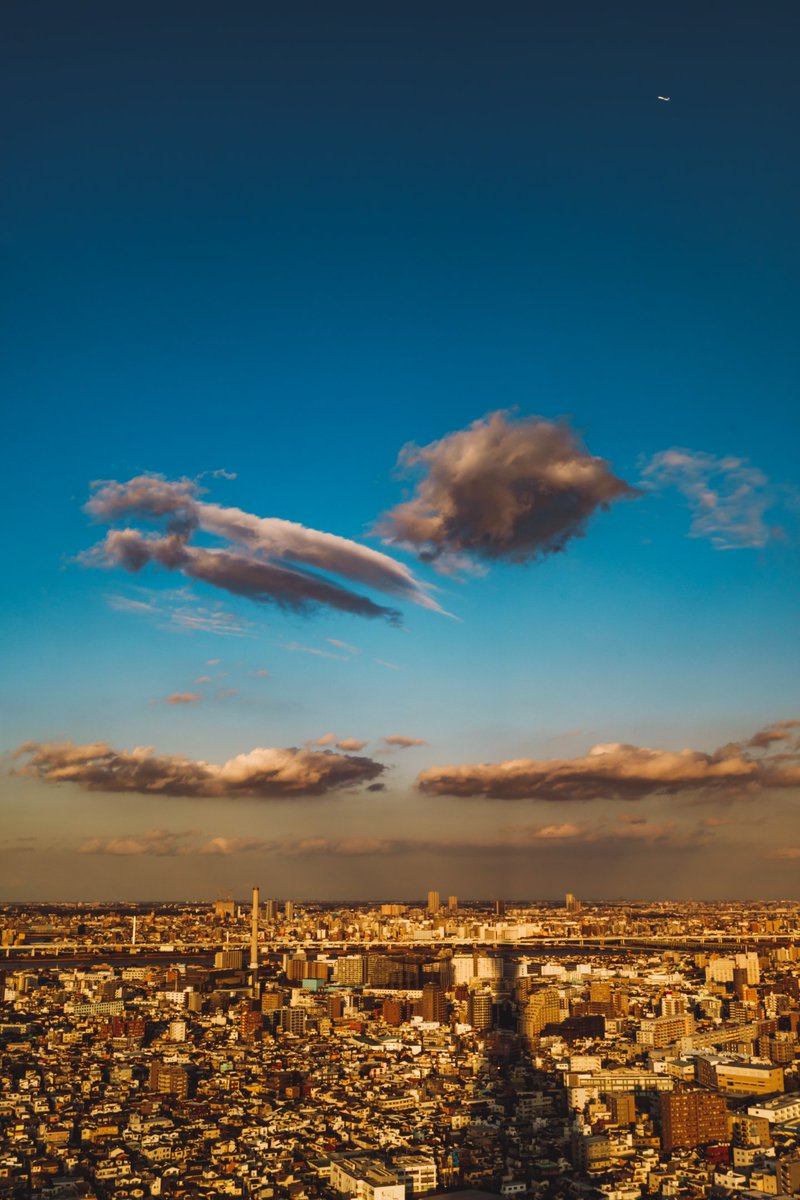 🕊 𓂃𓈒 𓂂𓏸 tweet media