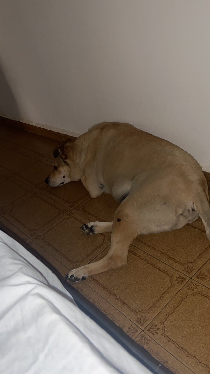 Jorge meu companheiro