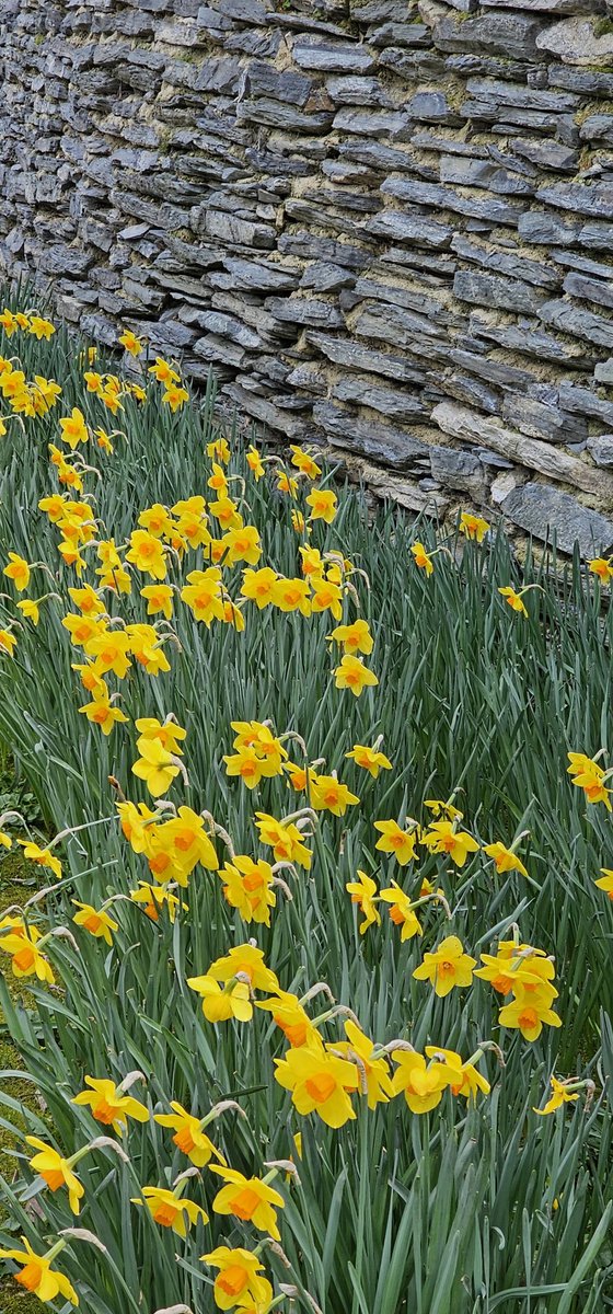 PleaseOnlyRose's tweet image. Her ne kadar geceyi acil serviste geçirsem de...
Adettendir ...
İyi bayramlar herkese...
Sevdiklerinize sımsıkı sarıldığınız güzel bir bayram olsun..
Biraz dinlenmem lazım..
Affola....🙏

#Offline