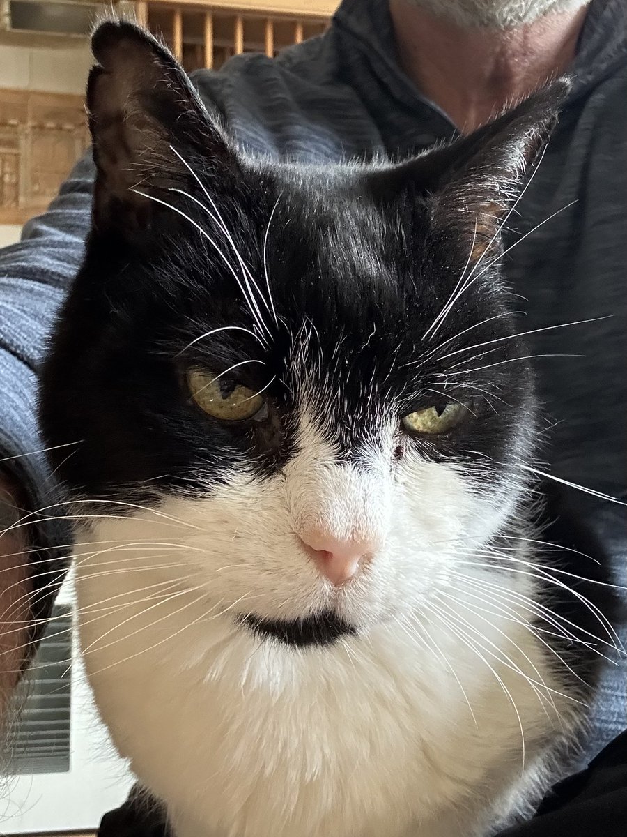 D.V. Catt tweet media