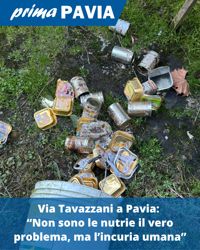 LEGGI QUI: primapavia.it/altro/via-tava…
#Pavia #Nutrie #Abbattimenti #Incuria #Degrado #Rifiuti #LorenzoGoppa #Notizie #News