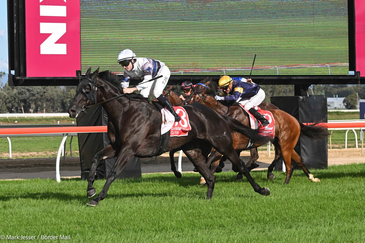 Mark Jesser tweet media