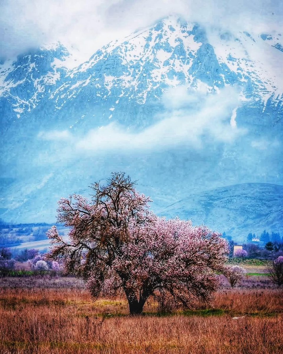 Visit Abruzzo tweet media