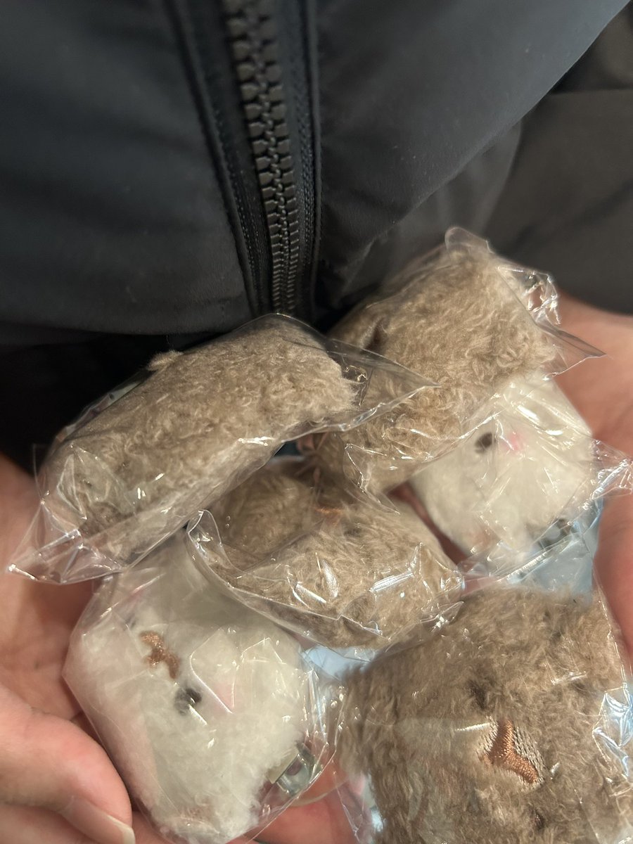 _lixno1's tweet photo. 【交換 買取 ポメラニアンもち ふわふわぬいぐるみクリップ】

譲 しらたま2 くろみつ4
求 もち or 定価+送料

くろみつ↔️もち優先でのお取引優先しております。

検索からでもお気軽にお声掛けくださいᴗ  ̫ ᴗ https://t.co/b36saFLtzC