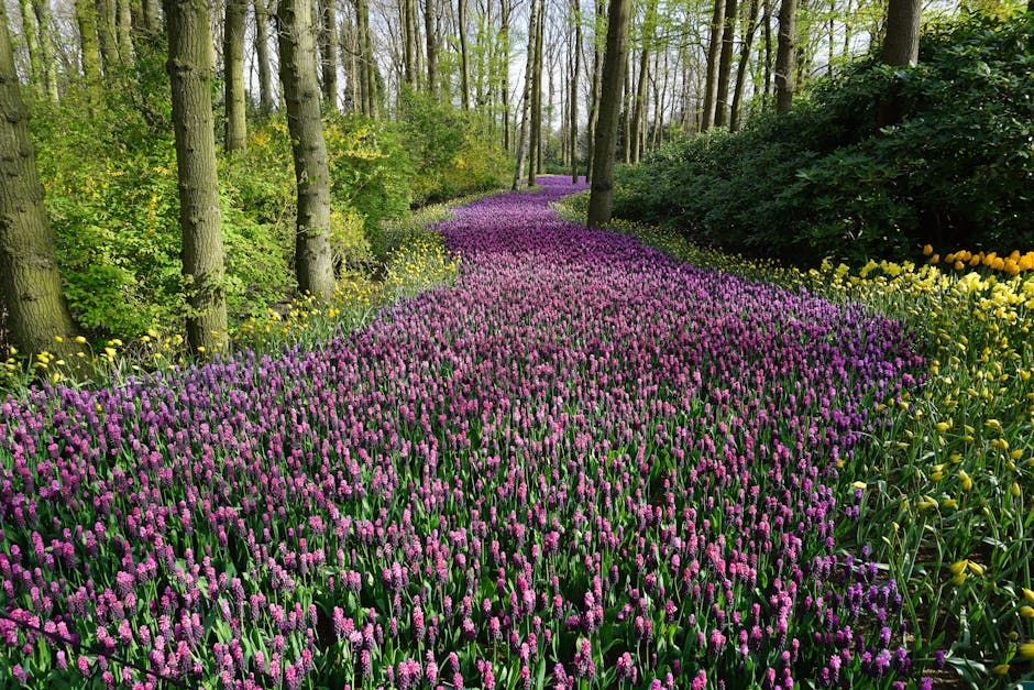 cainmarkings's tweet photo. First day of spring! https://t.co/U1SoUXs3gA