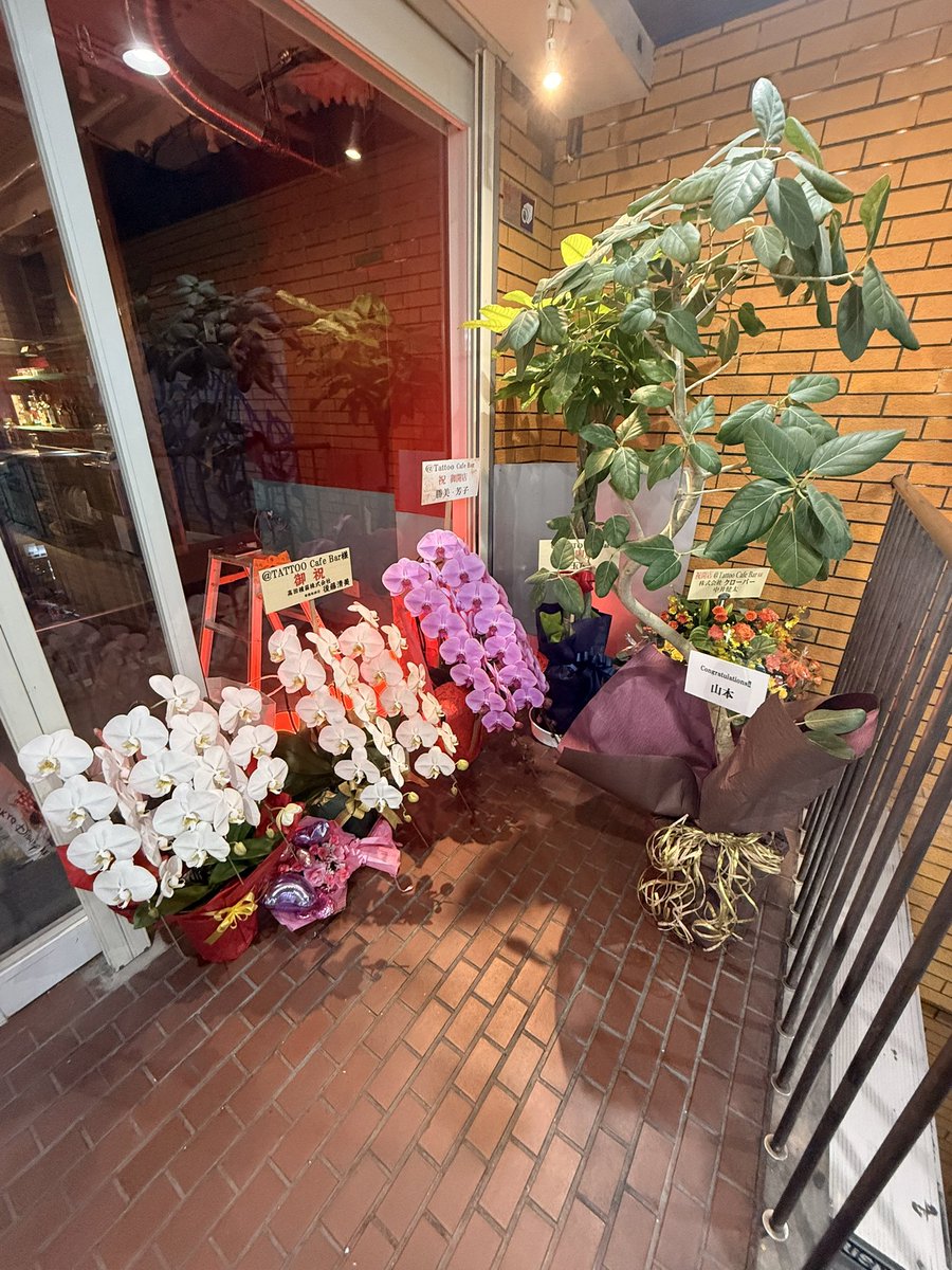 ✖CHELSEA JP✖ tweet media