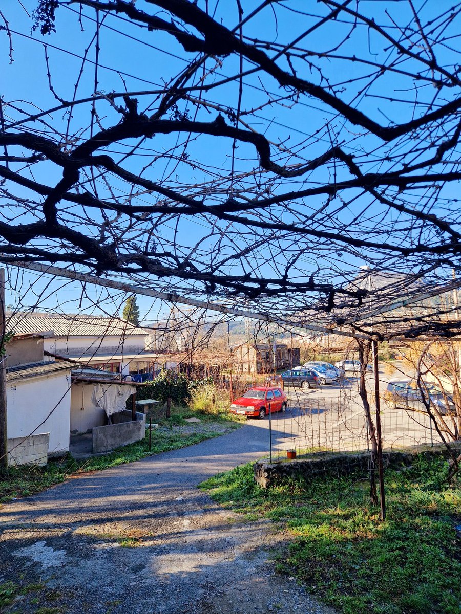 Khinkali Pool  tweet media