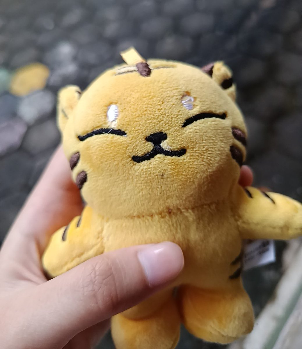 abey 🐘 tweet media