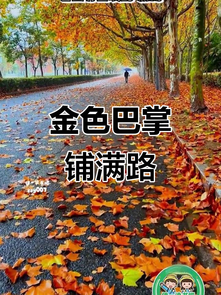 grdnlover tweet media