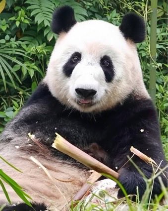 🍿CinéBapt 🎬 tweet media