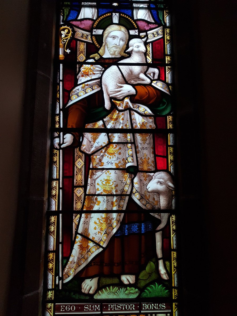 Isabel Mathias tweet media