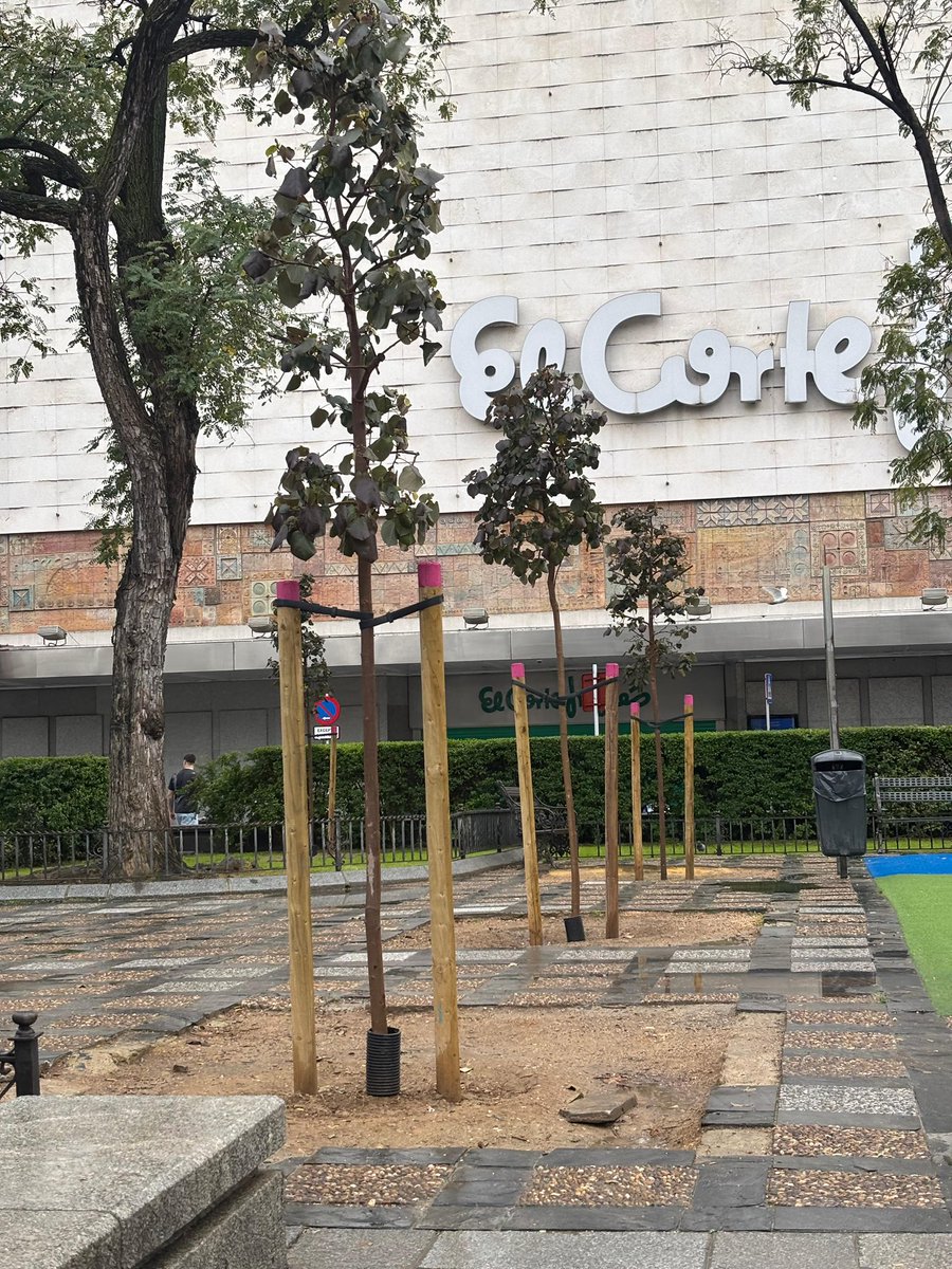 Distrito Casco Antiguo (Sevilla) tweet media